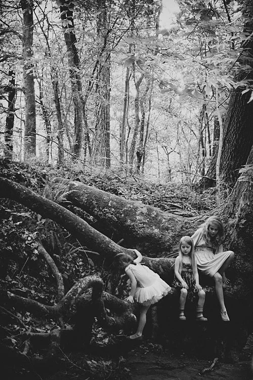By the Stream Tricia McKellar