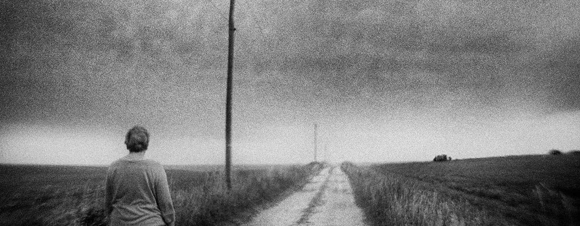 False Awakening James Rohan