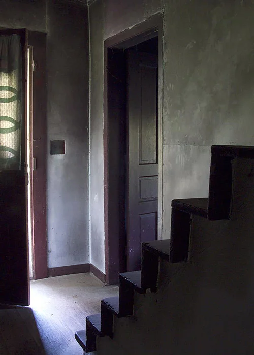 What Remains: Hallway Carol Lawrence