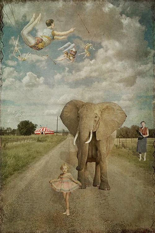 Mama Joined the Circus Dale Niles