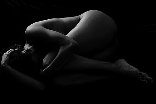 Morning Light Mara Zaslove
