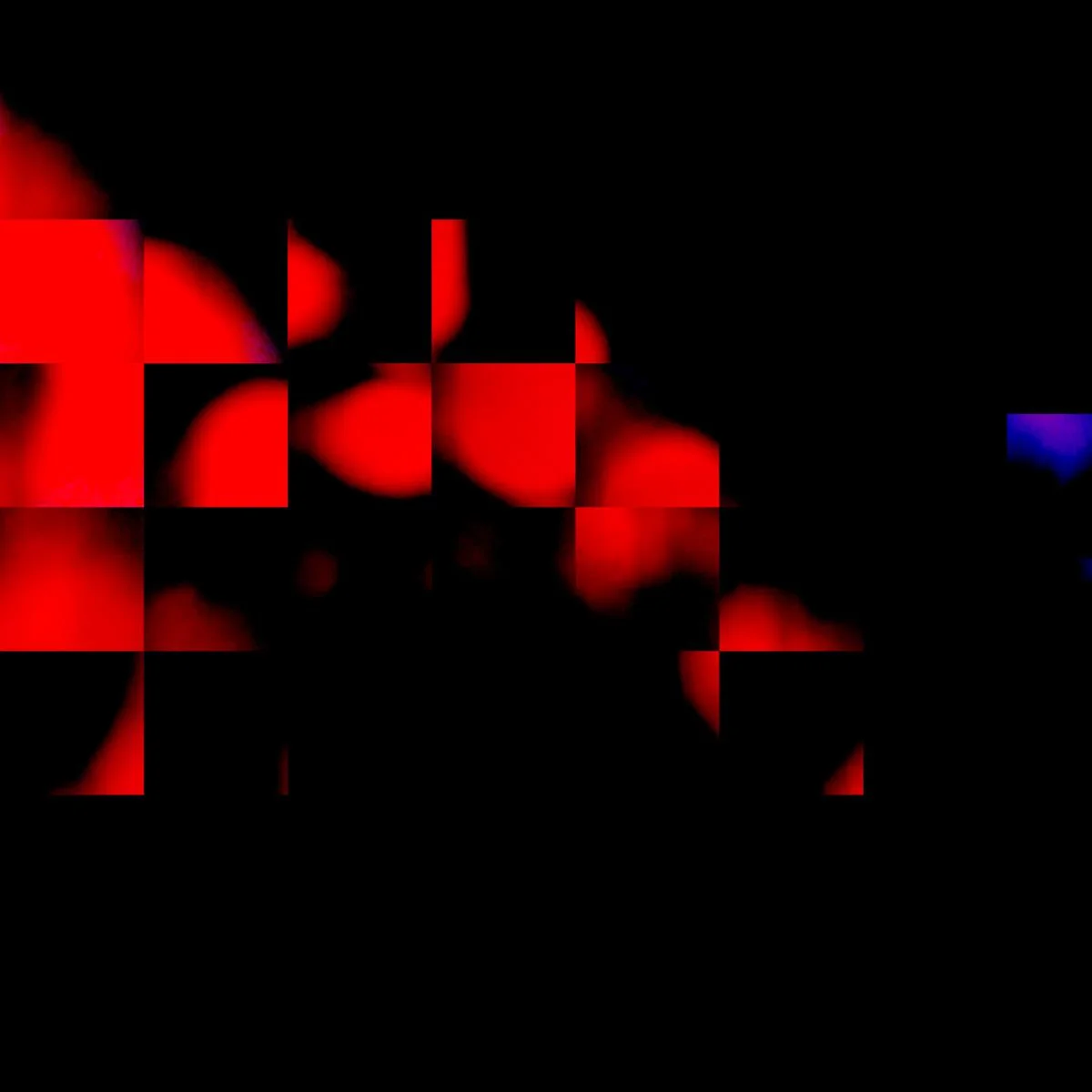 Red Grid with Blue LeeAnn Mallonee
