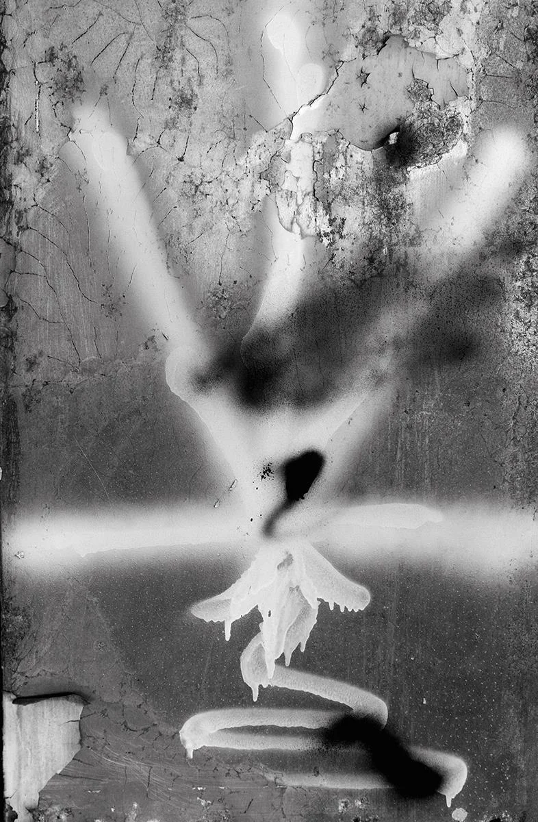 Angelic Pause Alina Marin-Bliach