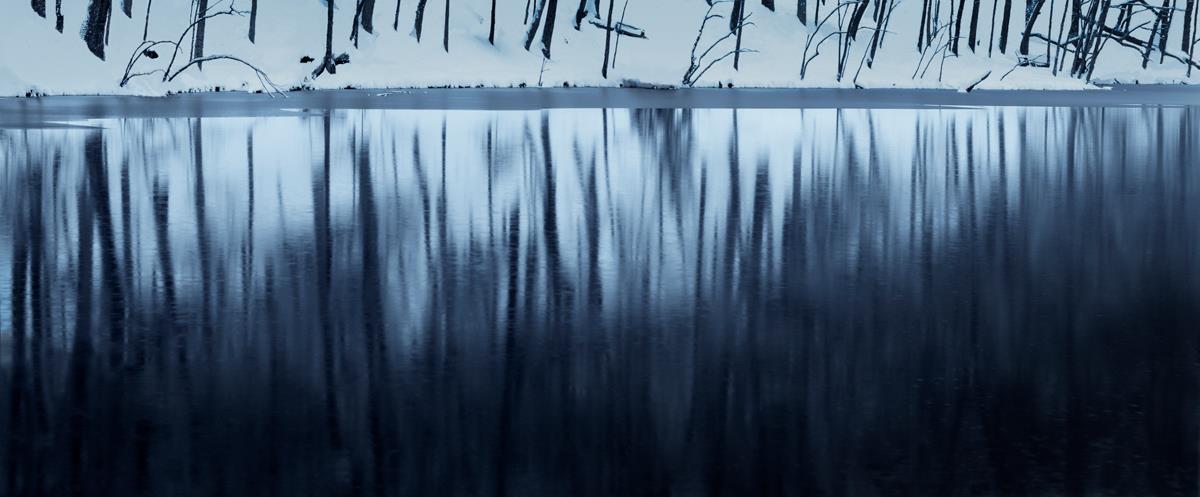 Winter Reflection George Lee