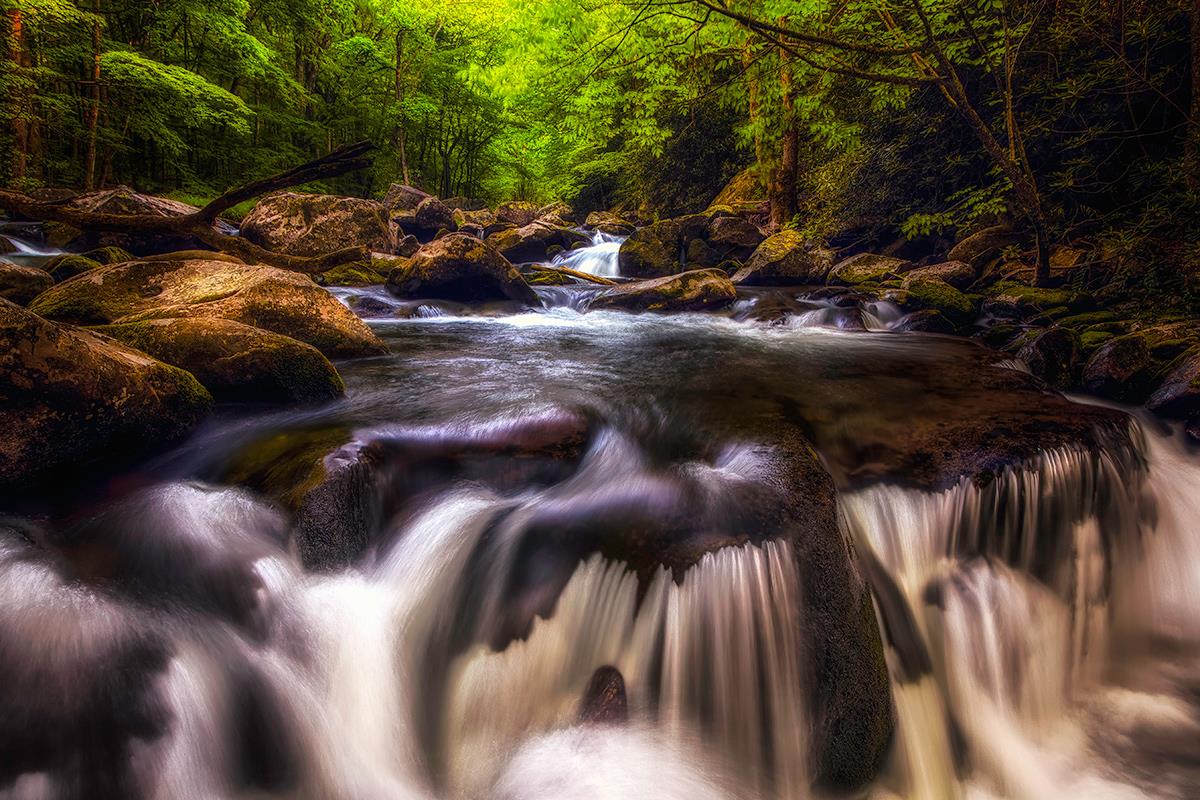 Springtime in the Rfiver Michael Swindle