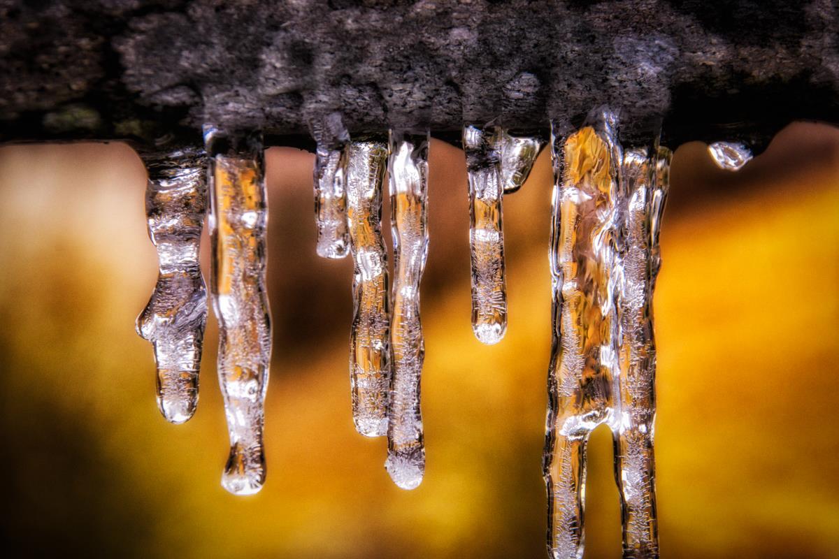 Frozen Charles A Wood