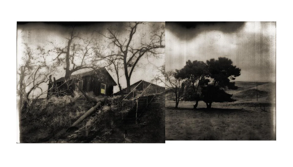 House and Tree Paul Ivanushka