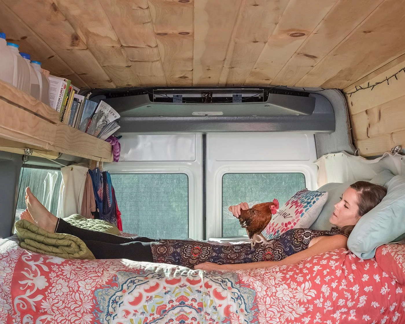 On the Road with Chicken Little Janet Holmes