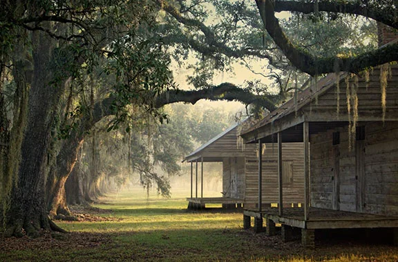   Quarters alley and two cabins, morning light   William Guion 