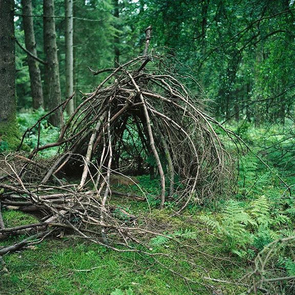   Quick! Hide! II   Juliet Piper 