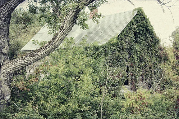   Abandoned 2   Eric Rennie 