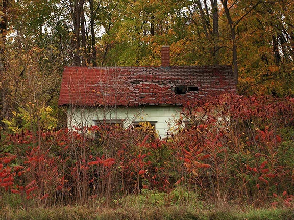   M-21, Red   Peter Taylor 