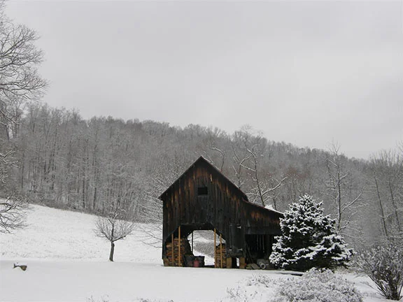   Passing Through   Karen VanderVen 