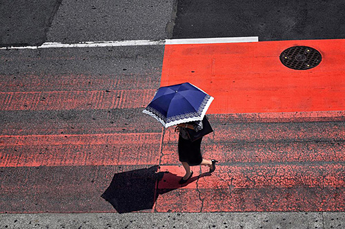 Tokyo Crossing Jane Feeley