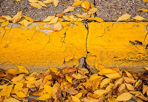 Yellow Rowene Weems