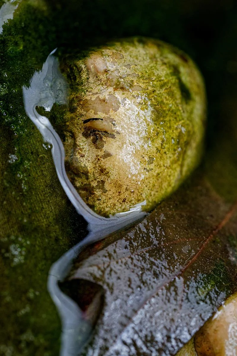 The River Is Moving No.14 Susan Keiser