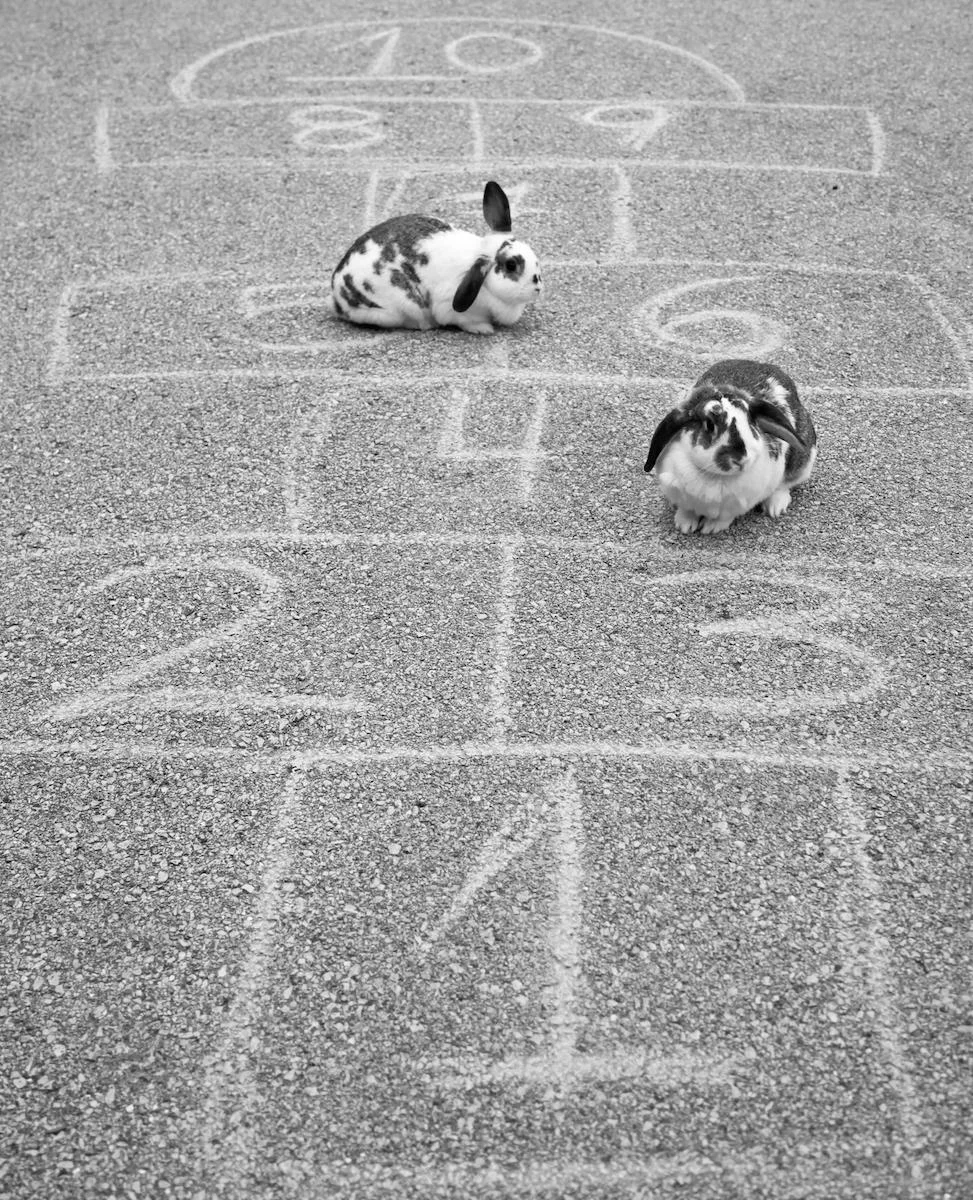 Hop Scotch Anne Connor