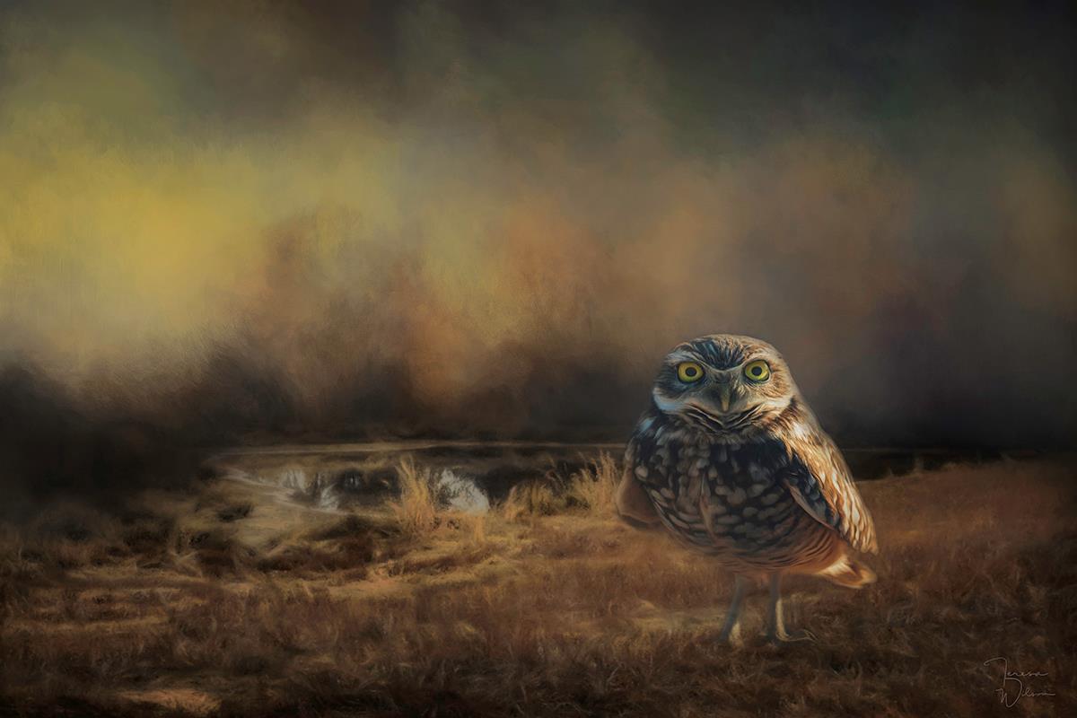 Caught in the Last Light Teresa Wilson