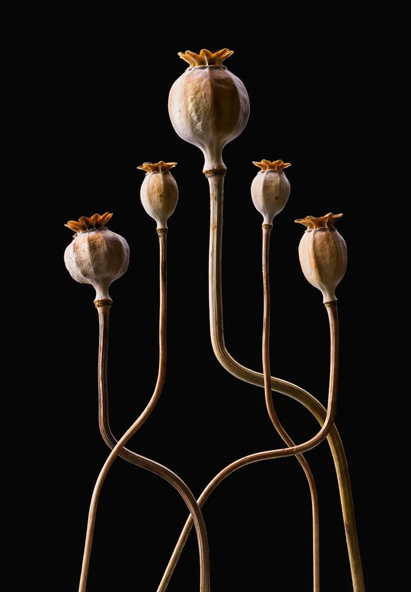 Candelabra George Lee