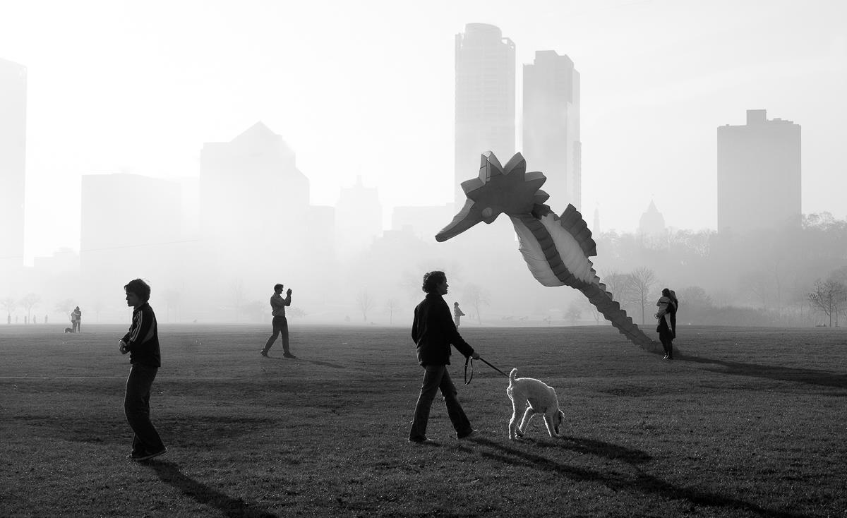Shared Space Linda Hosek
