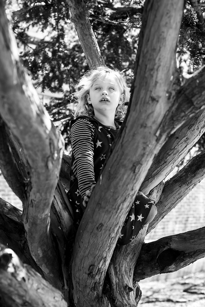 Young Boy in a Tree Frank Mullaney