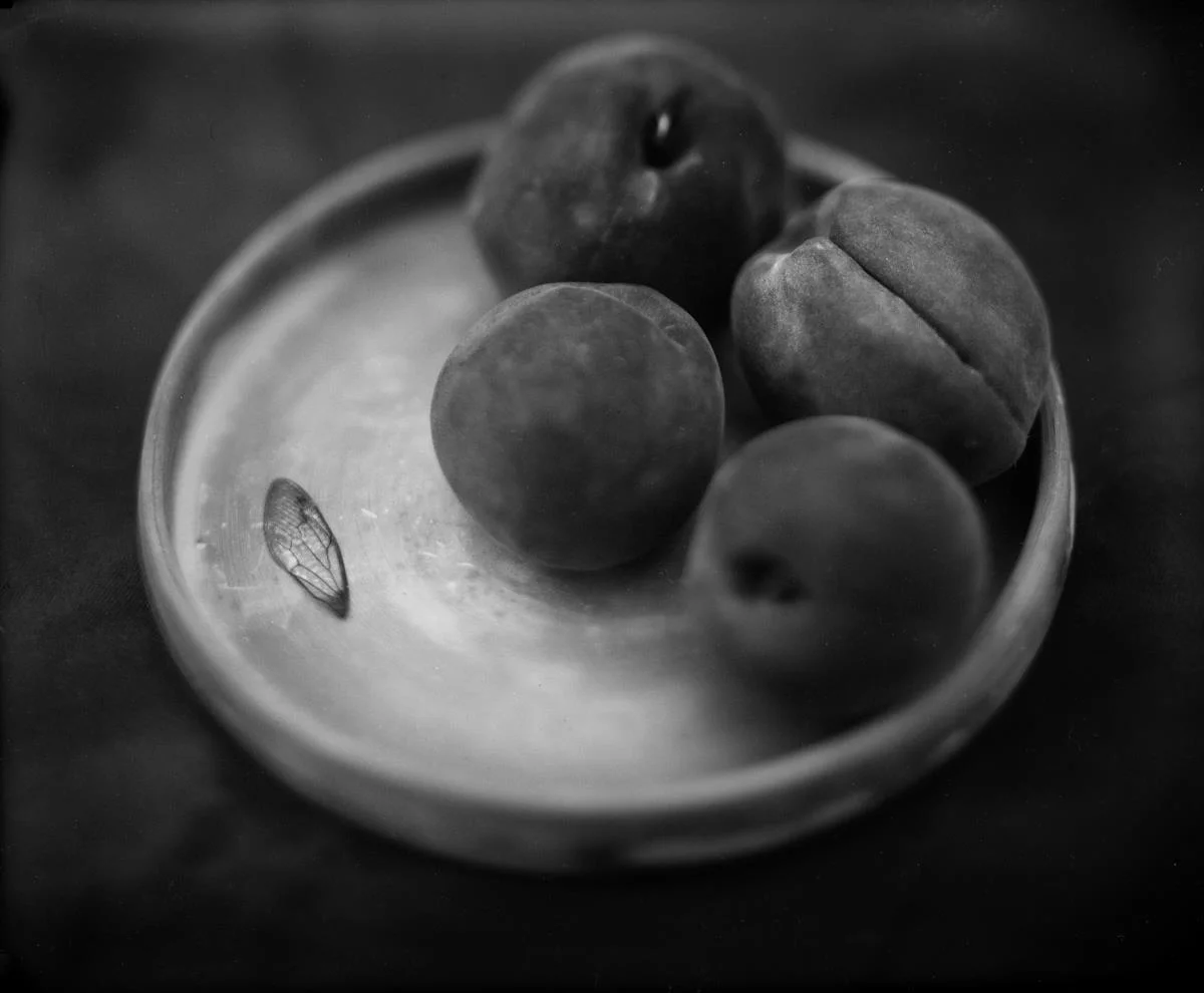 Dubach Peaches Cate Sampson