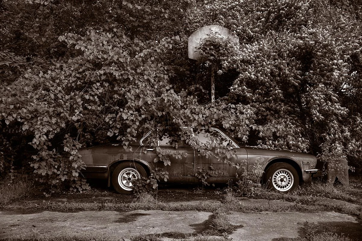 Abandoned Jaguar Gary Beeber