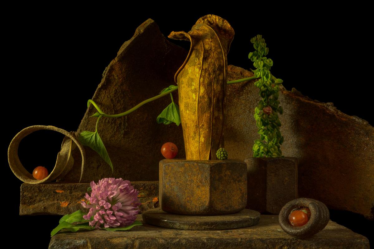 Toothless Carnivore Allan Markman