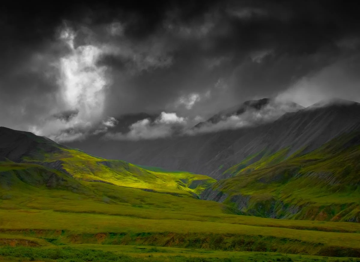 Denali Road/ Alaska David Bartlett