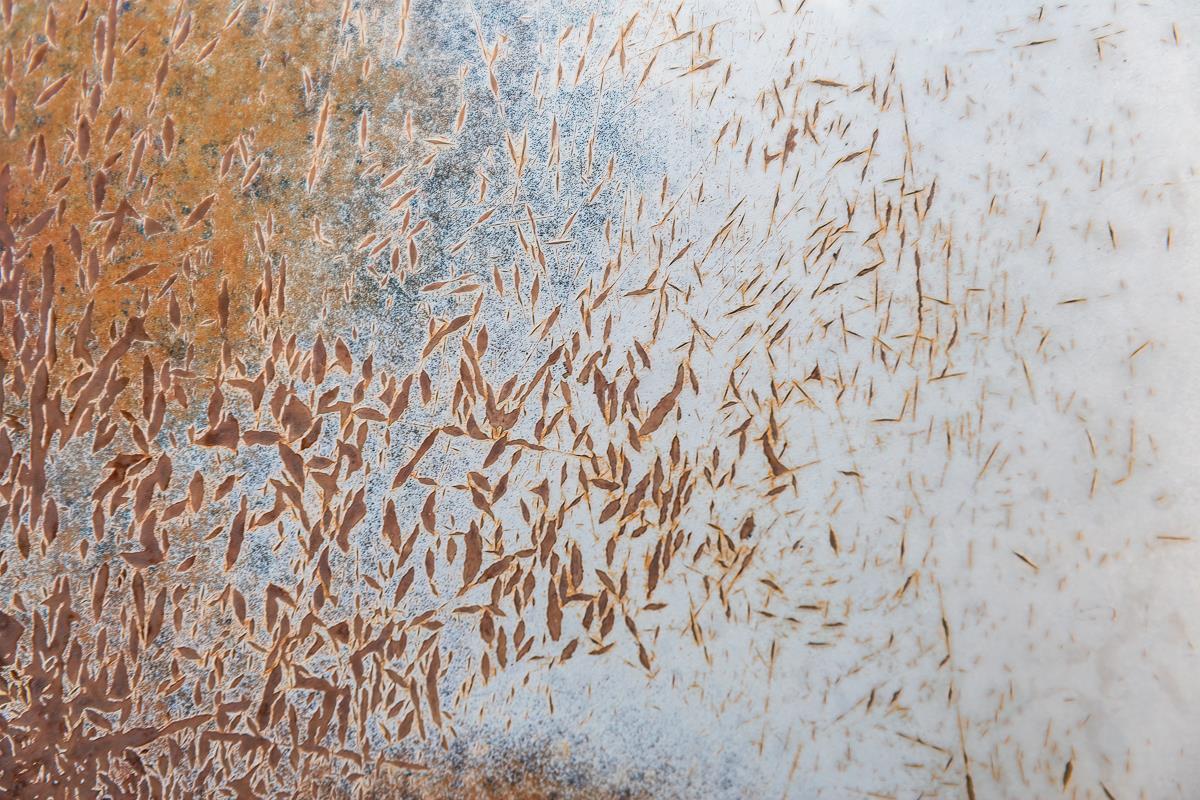Flight Ruth McCully