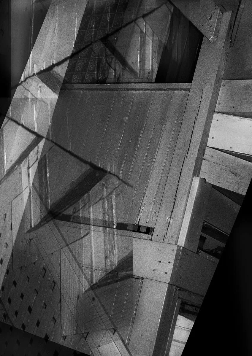 Homage to Cubism Paula Shur