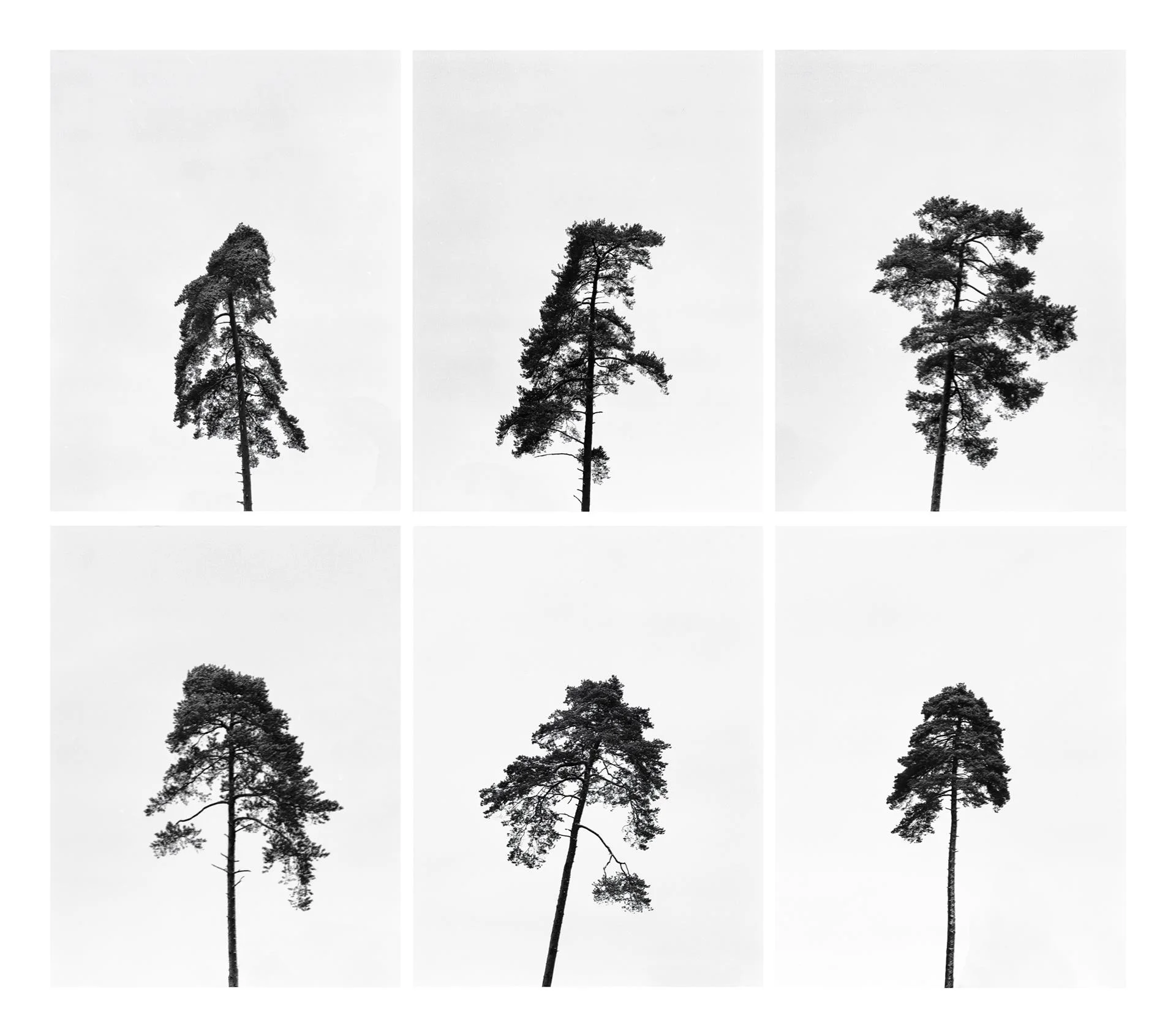 Terrain #5 Martin Tscholl