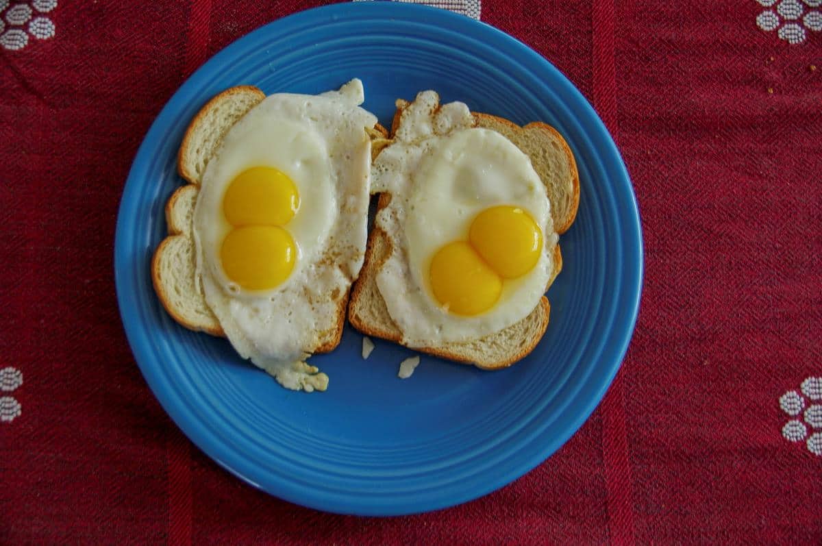 Two Eggs, Four Yolks Bruce Berkow