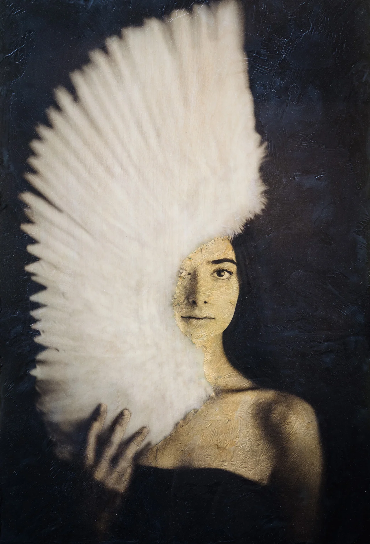 Contemplating Flight Fritz Liedtke