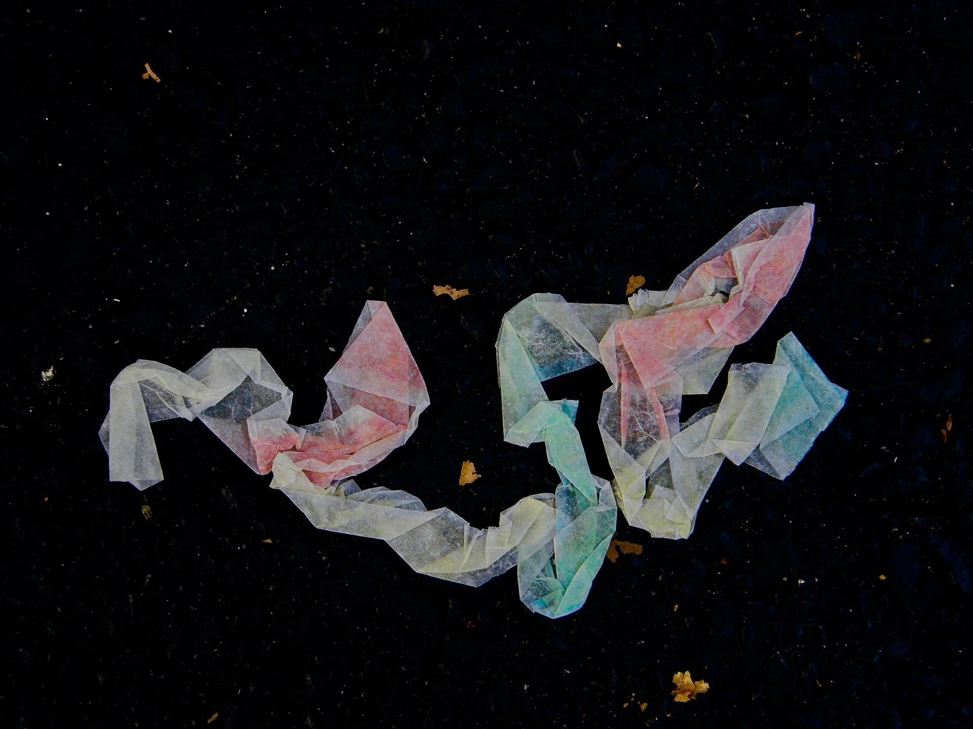 Serpentine Karen VanderVen