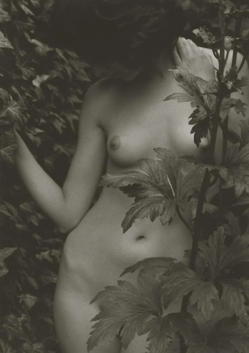 In the Ivy Sally Russ https://www.imagekind.com/art/stunning/sally-russ/artwork-on/fine-art-prints