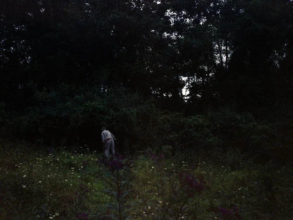 At the Edge of the Cleared Land Katherine Akey www.kathyakey.com