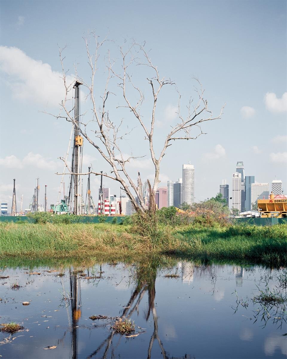 Transitional Landscape Siyi Wu https://www.siyinyc.com/transitional-landscape