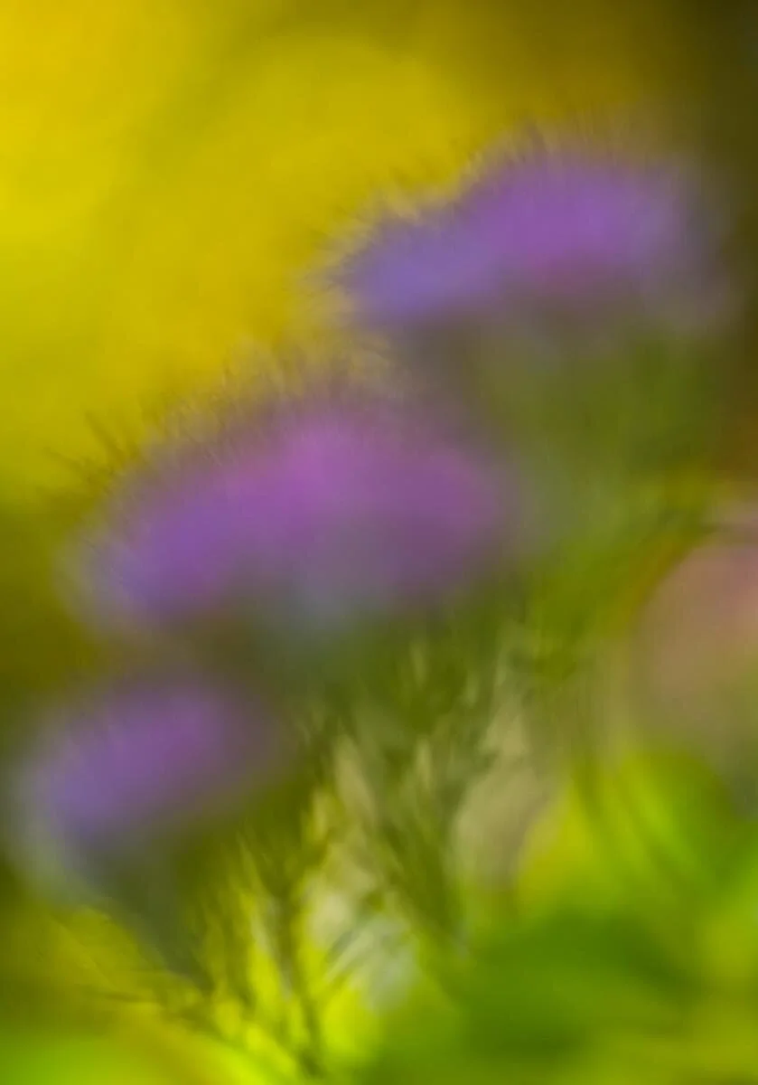Whispers George Lee