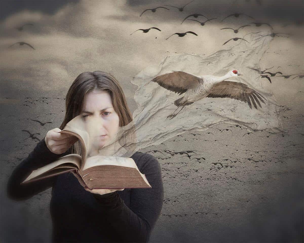 Open Book Catharine Carter