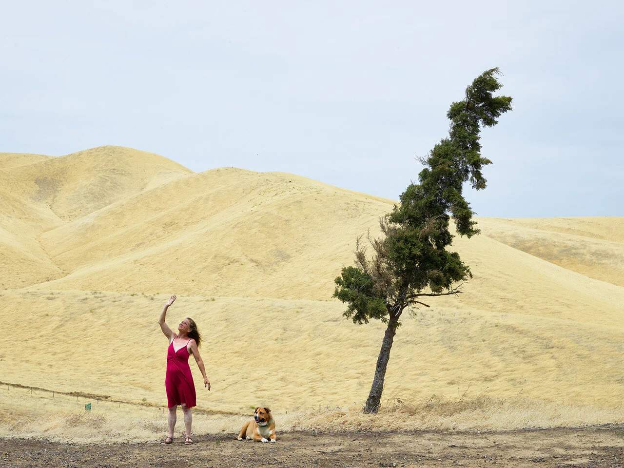 Artist Talk with Doug Dubois