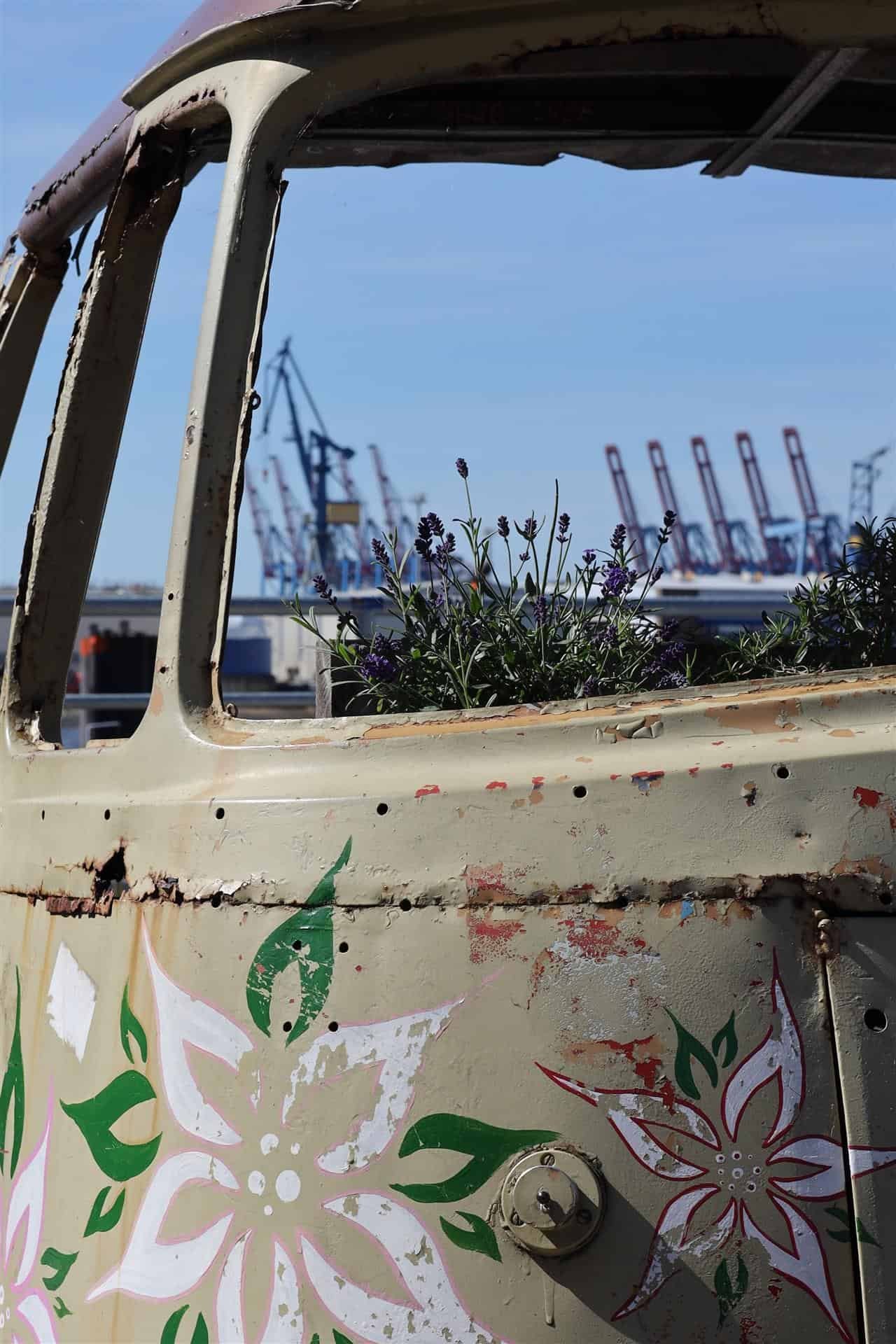   Overgrowth    Matthias Kempf 