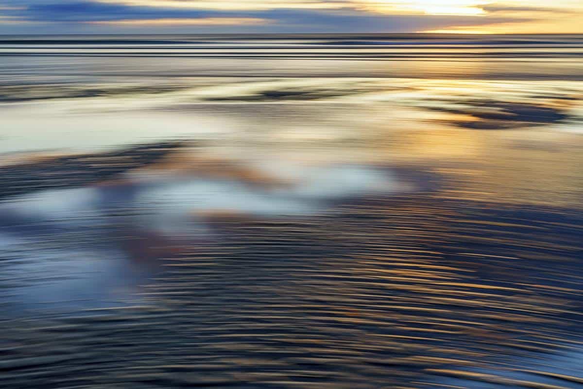 Hilary Bachelder