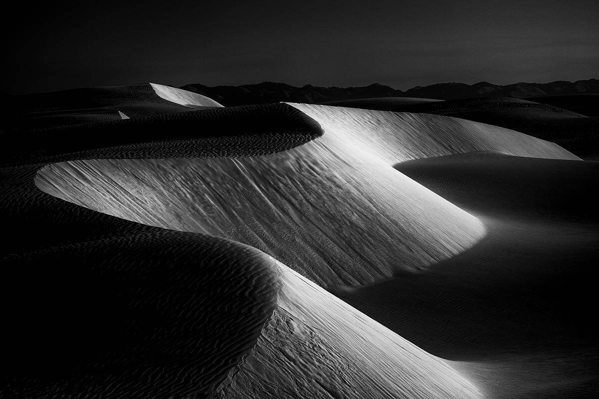 David Gubernick