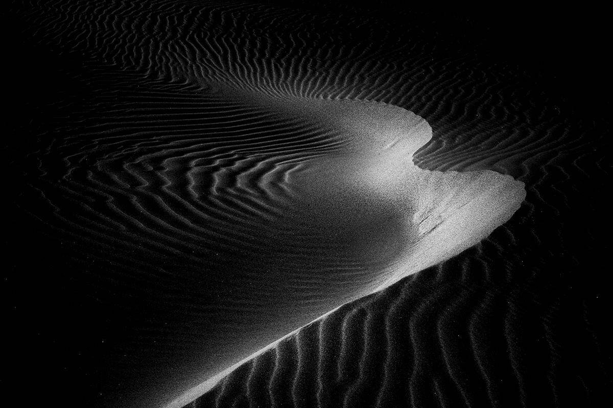 David Gubernick