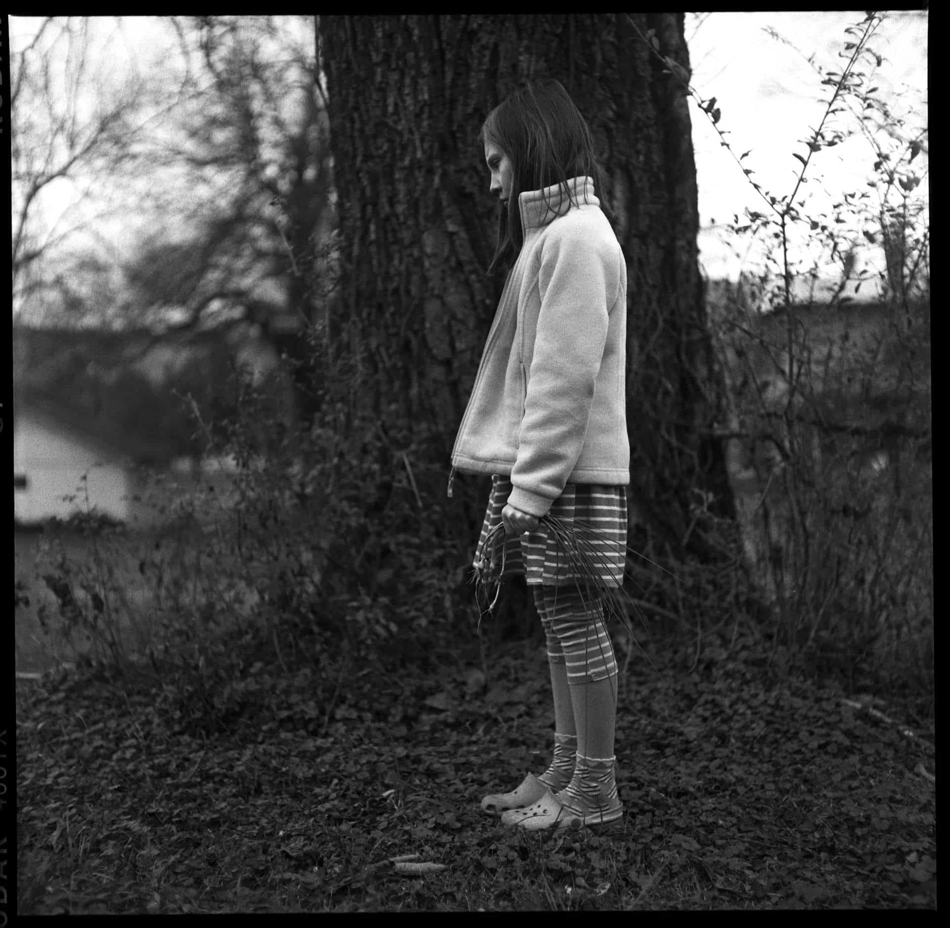 Robert Hein