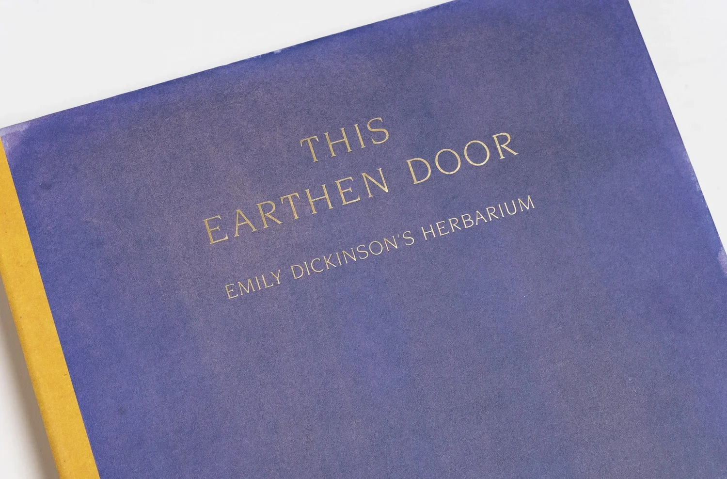 BookTalk with Amanda Marchand & Leah Sobsey