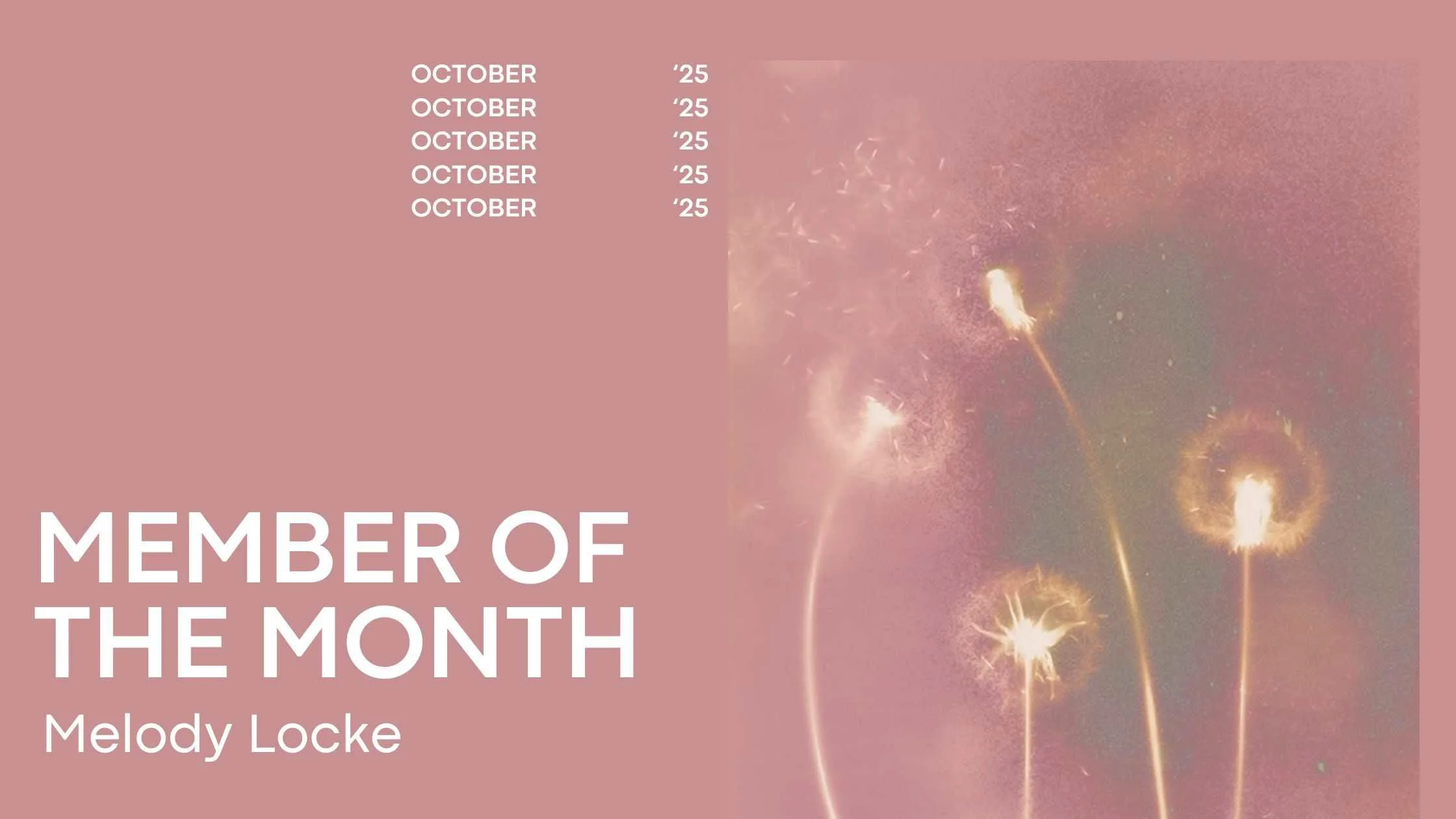 Locke_Website.Card 2.jpg