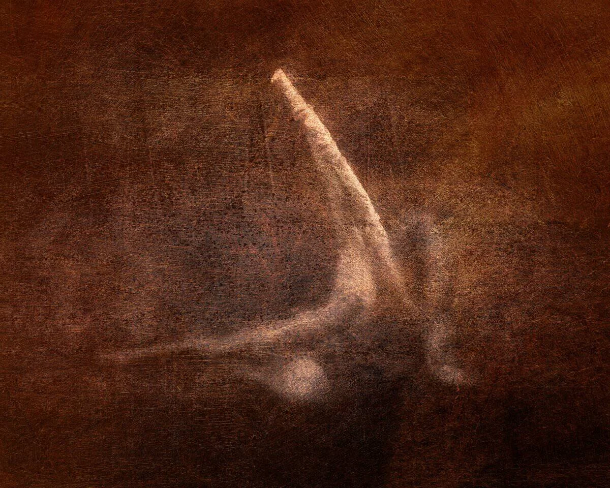 DavisonBi-Veiled-III-260904101149_017e57feddf94501ad43094d42e69775.jpg