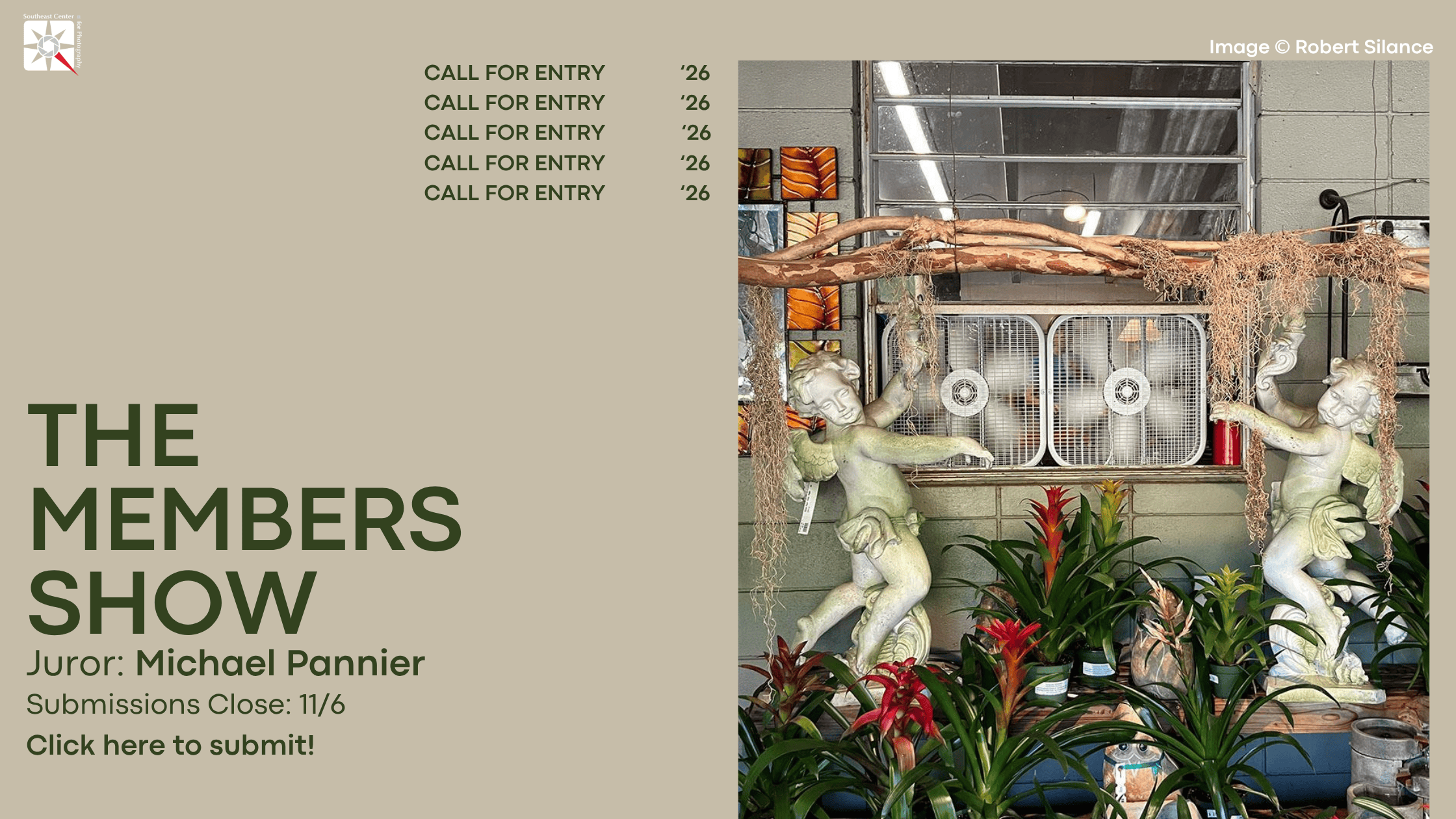 Cards-Website-26 copy 2.png